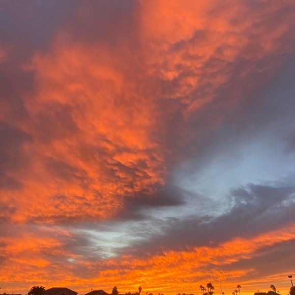 Meet your Posher, Rebecca - Picture 1 of 1